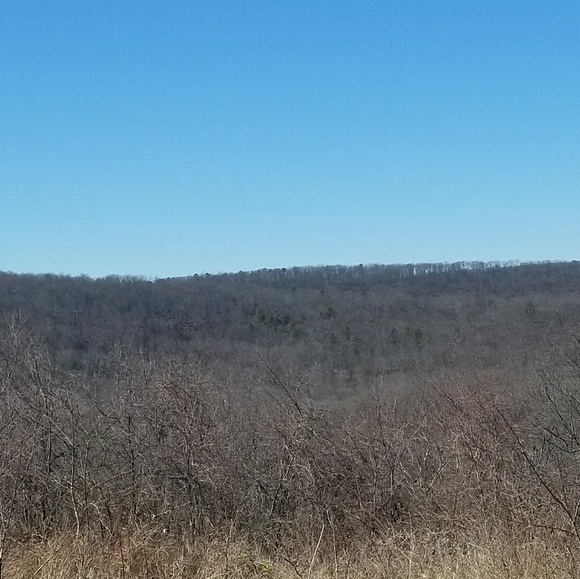 Meet your Posher, Marcus - Picture 2 of 2